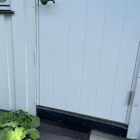 Venus Hill Apartament *