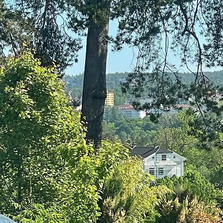 Venus Hill